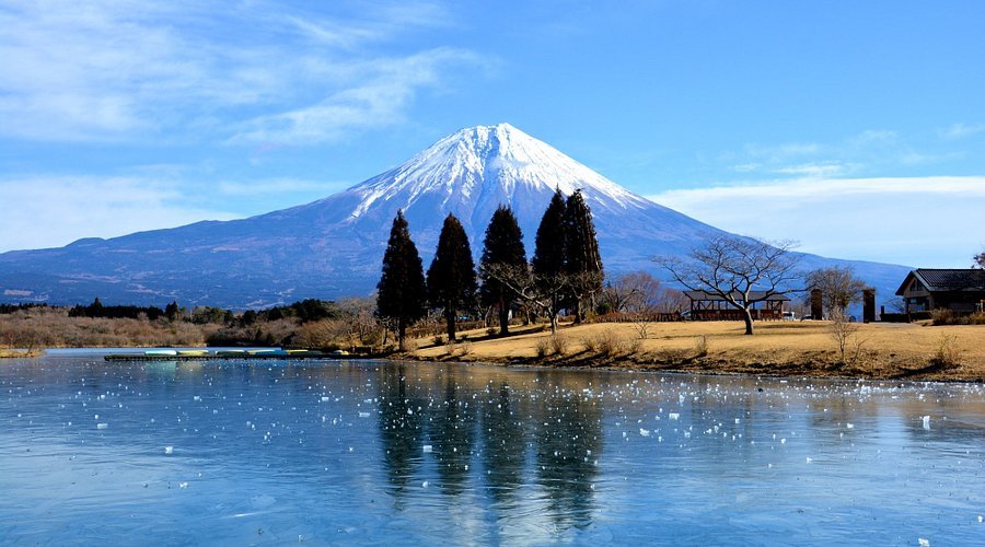 🏞️ 아사기리 고원 떡집(아사기리코겐 모치야) 이미지 5